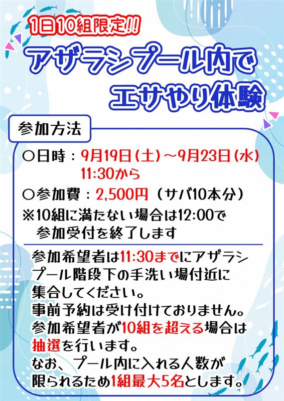 【9/19(土)～23(水)】アザラシプール内でエサやり体験！の画像